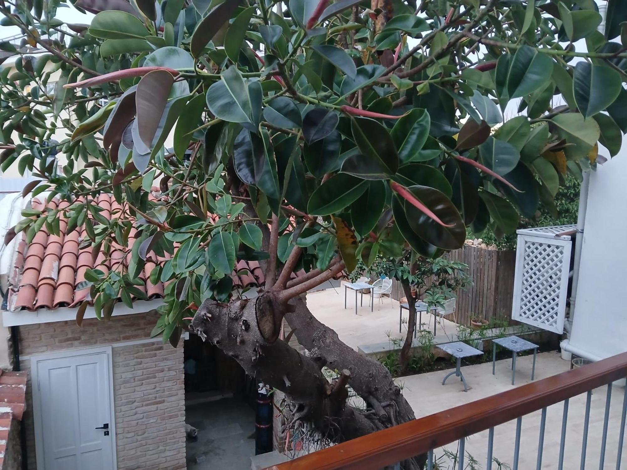 House of Good Things Zeytin Çıkmazı Otel Antalya Dış mekan fotoğraf